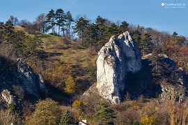 Klentnická skalka ve svazích Stolové hory (2021)