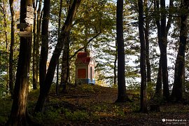 Kaple v pseudobarokním slohu uprostřed chřibských lesů (2020)