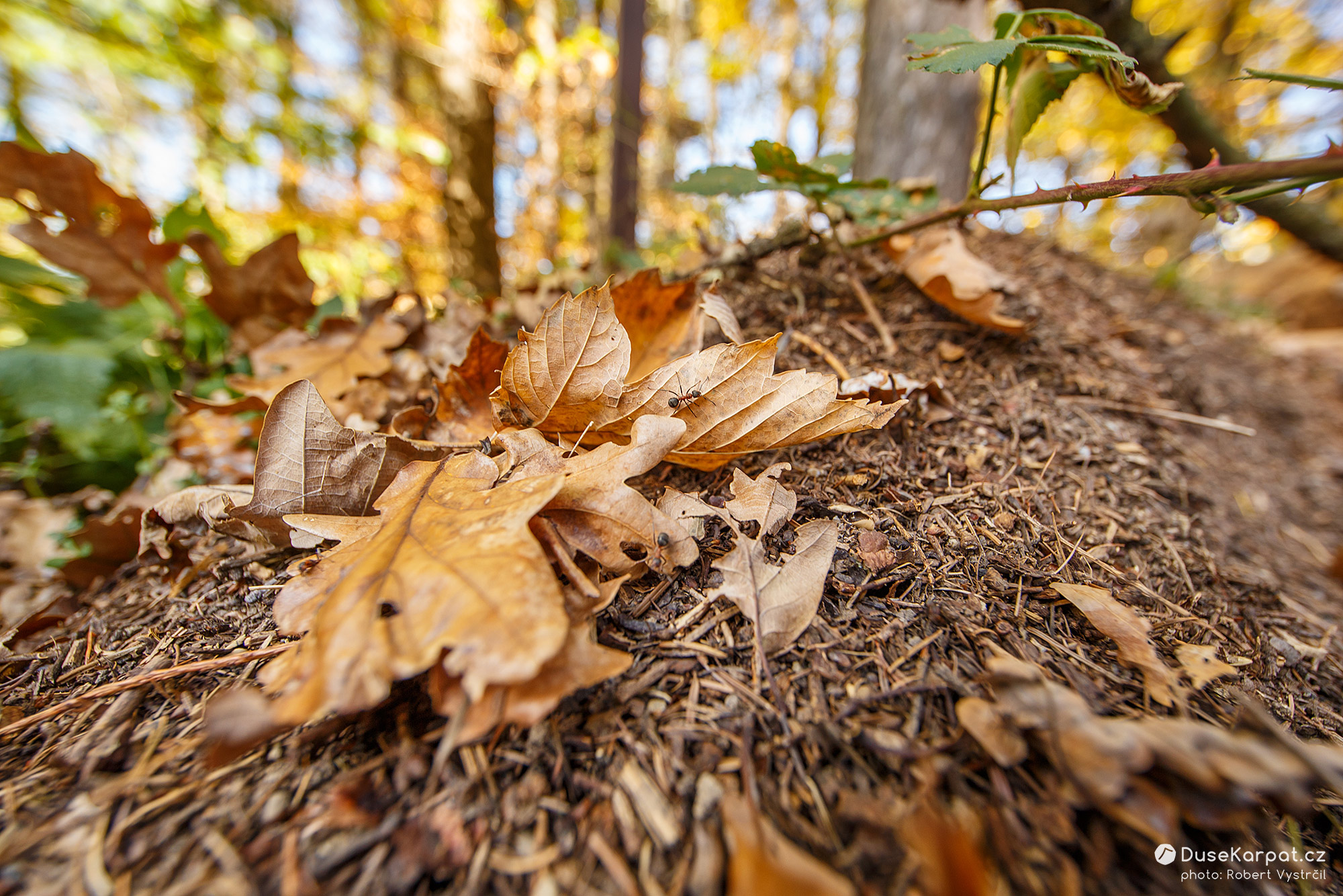 Litenčická pahorkatina DušeKarpat.cz
