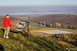 Výhled na Milovickou pahorkatinu a přehradu Nové Mlýny (2020)