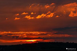 Poslední sluneční paprsky dne na kopci Vinohrady (2020)