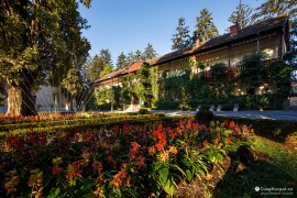 Švýcarská vila (Švicarska kuća) zahalená do popínavých rostlin, postavená ve švýcarském stylu kolem roku 1860 (2022)