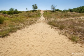 Výšlap na písečnou dunu (2022)