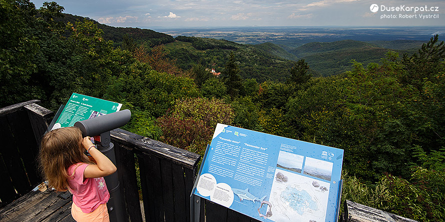 Výhled na lesy pohoří Krndija, uprostřed se skrývá klášter Orahovica