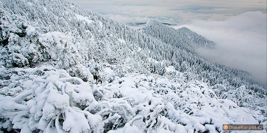 Chočské vrchy - mrazivý výhled z Velkého Choče do Liptovské kotliny