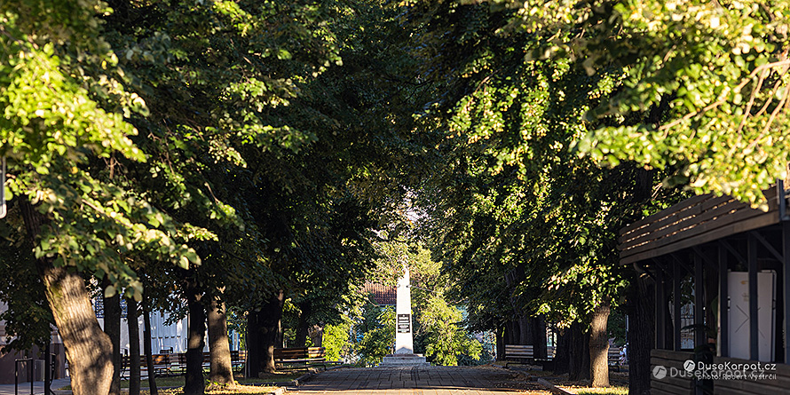 Památník pod starou alejí v centru Báčského Petrovce