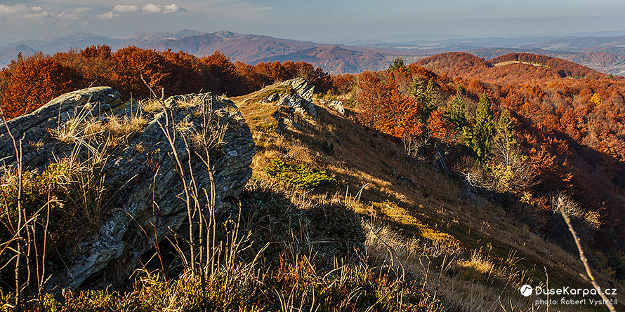 Вид з гори Дрогобицький Камінь
