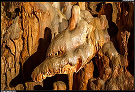 Jeskyně Baradla (Baradla-barlang) - Dračí hlava (Sárkányfej)