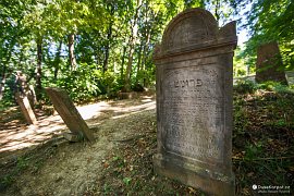 Dávný židovský hřbitov uprostřed lesa (2021)