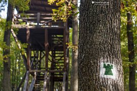 Lesem pohlcená rozhledna Óbányai belátó kilátó, se značenou odbočkou, která jasně udává, kam vede (2021)