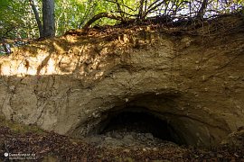 Umělá jeskyně ve spraši, možná základ pro vinný sklípek (2021)