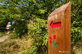 Naučná stezka na Malou Strážu (Kis-Strazsa) (2021)