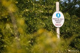 Vysoce chráněná přírodní oblast (2021)