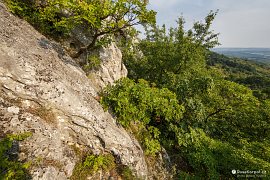 Vápencové skalisko ve vrcholové části Velké Stráže (2021)