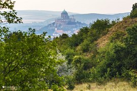 Katedrála v Ostřihomi od Velké Stráže (2021)