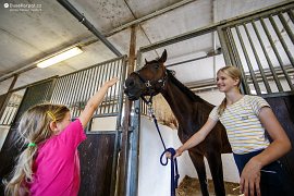 Hosté penzionu se seznamují s koníky (2021)