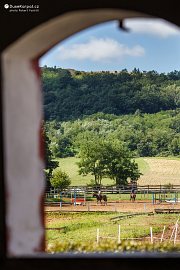 Ranní trénink na koních (2021)