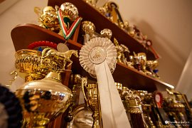 Trofeje z jezdeckých soutěží (2021)