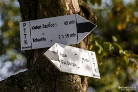 Rozcestník černě značených turistických tras v Zawadce (2016)