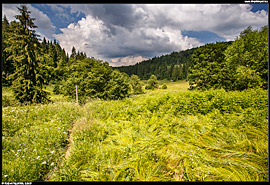 Bieszczady - dolina horního Sanu v úseku poblíž ukrajinské obce Sjanky