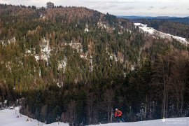 Na vrcholku je viditelná obří věž se stezkou v korunách stromů (2024)
