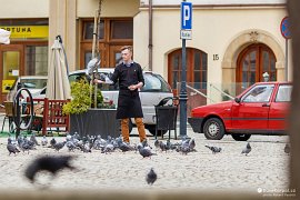 Krmení holubů na náměstí v Krosně (2017)