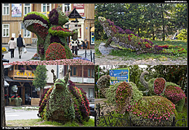 Szczawnica - upravené kvetoucí sochy zvelebují celé městečko