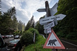 Dopravní značka "pozor, medvěd!", ruský medvěd je ale daleko (2024)