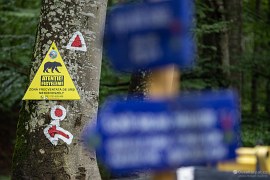 Varování turistům před výskytem medvěda (2024)