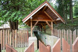 Léčivý pramen (2024)