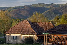 Za řekou Someš stoupají nádherně zalesněné kopce Ignišských hor (2025)