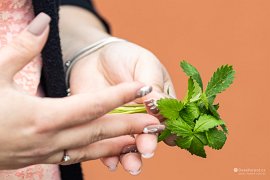 Listy ke zdobení vajíček (2025)