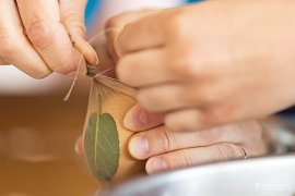 Vše se pečlivě utáhne provázkem (2025)