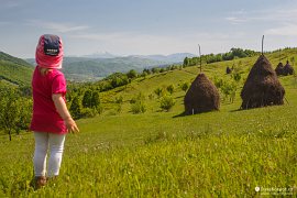 Malebné horské louky a pohled na Munții Țibleș (2018)