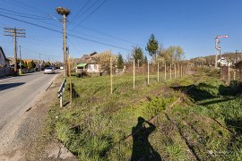 Zarůstající železniční trať v obci Câmpulung la Tisa (2025)