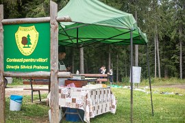 Prodejce sýrů na rozhraní žup Brašov a Prahova (2024)