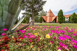 Minerální pramen Elvira (Izvorul Elvira) (2024)