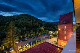 Lesy v okolí jsou nádherné a výhled na ně uklidňující (2024)