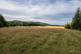 Rašeliniště Tinovul Luci (2024)