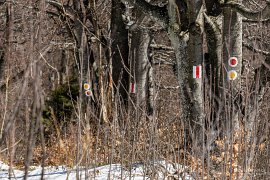 Turistické cesty jsou zde poctivě značeny (2025)