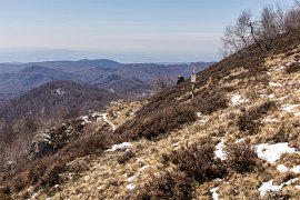 Vrcholová vegatace, dále zalesněné hory Ignišských hor. V pozadí Culmea Codrului s drobnější horou Lespezi (512 m) (2025)
