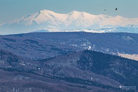 Pohled na Rodnu s vrcholy Pietrosul Rodnei a Buhăescu Mare (zleva) (2025)