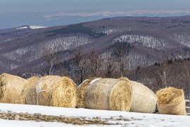 Na vrcholu Pietroasy. V pozadí Gorgany (s horou Bratkivska) a Svidovec (Apecka, Trojaska, Velykyj Kotel) (2025)