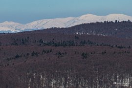 Ukrajinský Svidovec, vlevo hora Stih, vpravo dvojvrchol Bliznica (1881 m) (2025)