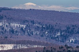 Ukrajinská Hoverla (2.061 m, vlevo) a Breskul (uprostřed) (2025)