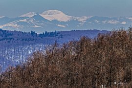 Pietrosu Bardău (1850 m) nad Poienile de sub Munte v Maramurešských horách (2025)