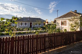 Udržovaná usedlost s krásnými slunečnicemi (2024)