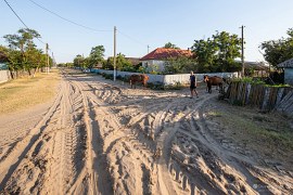 Hlavní ulice (2024)