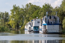 Na dunajském kanále u Letei (2024)