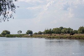 Vodní kanál u Letei (2024)